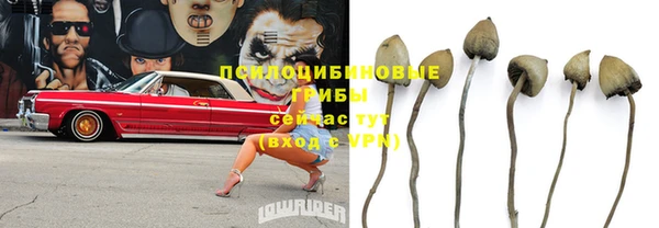 гашик Аркадак